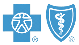 Blue Cross Blue Shield